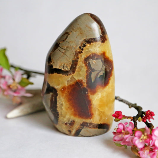 the little magic herbal shop - the little magic herbal shop