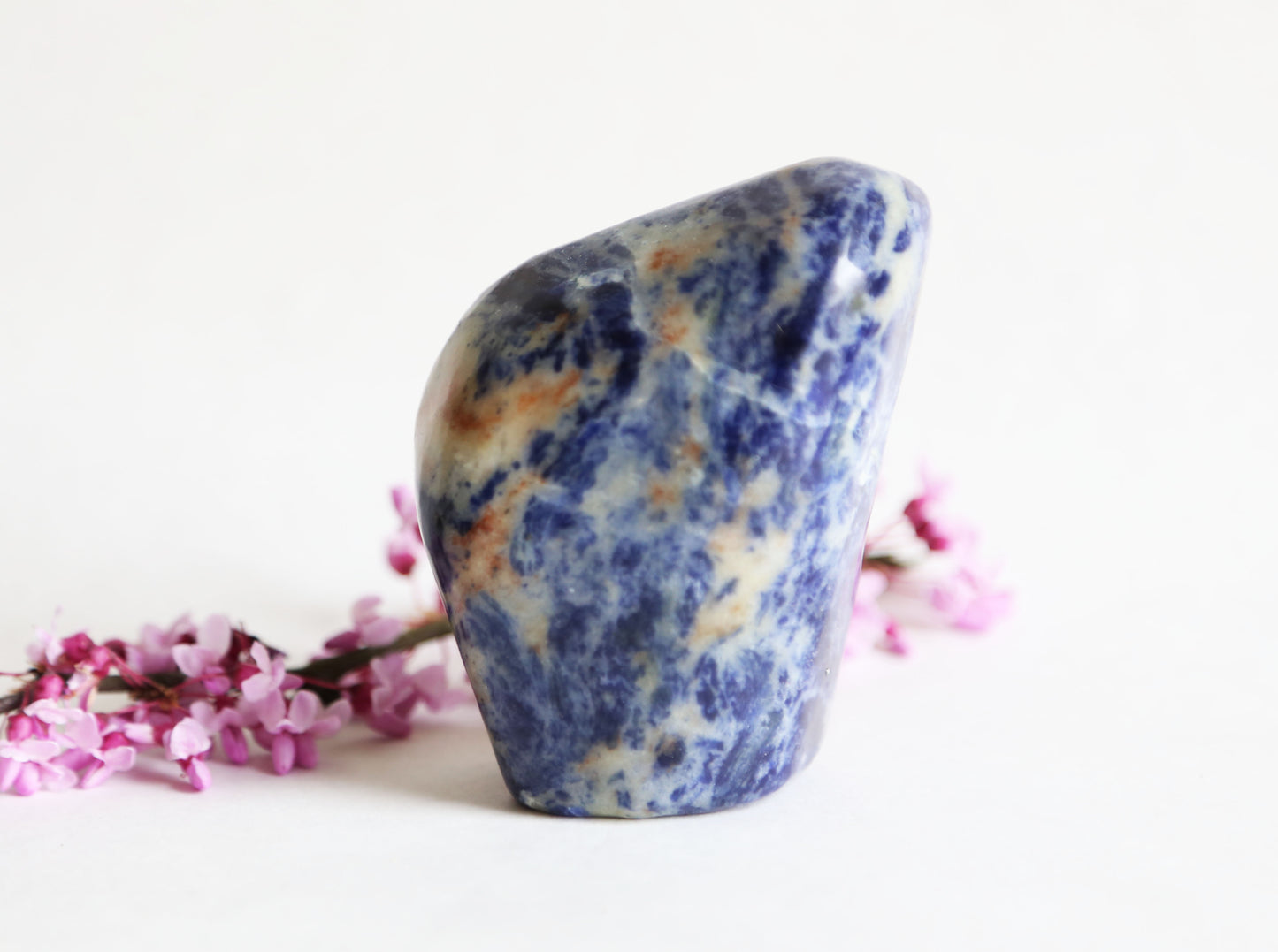 the little magic herbal shop - the little magic herbal shop