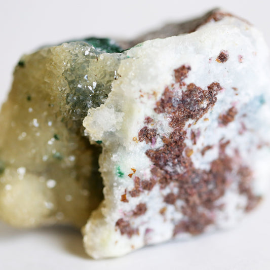 the little magic herbal shop - the little magic herbal shop