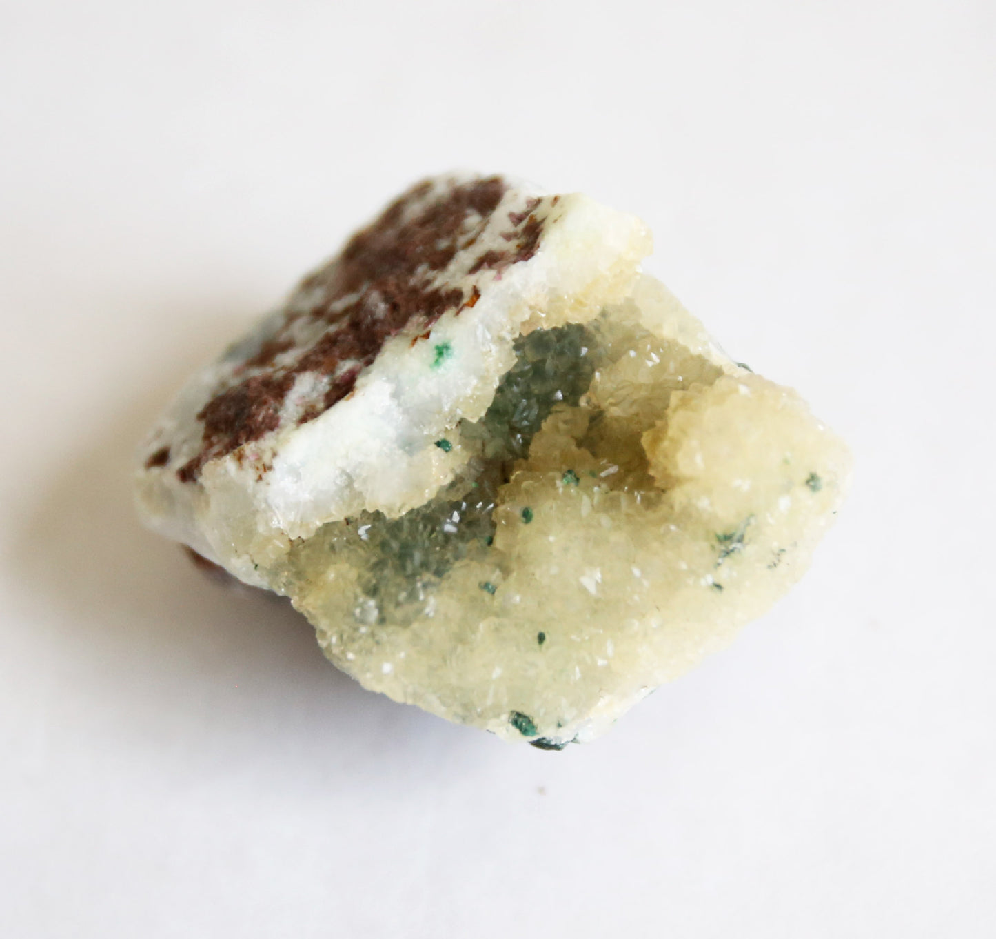 the little magic herbal shop - the little magic herbal shop