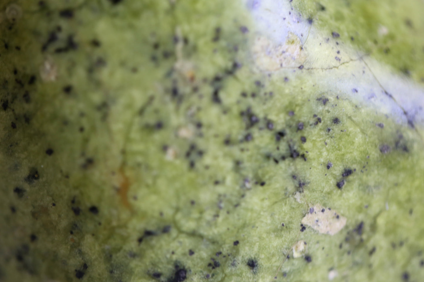 Spotted Green Opal Freeform