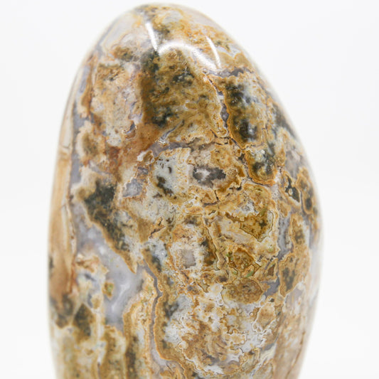 Ocean Jasper Free Form