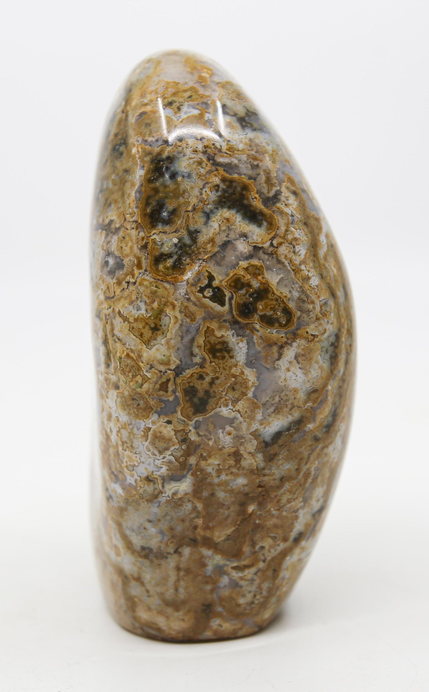Ocean Jasper Free Form