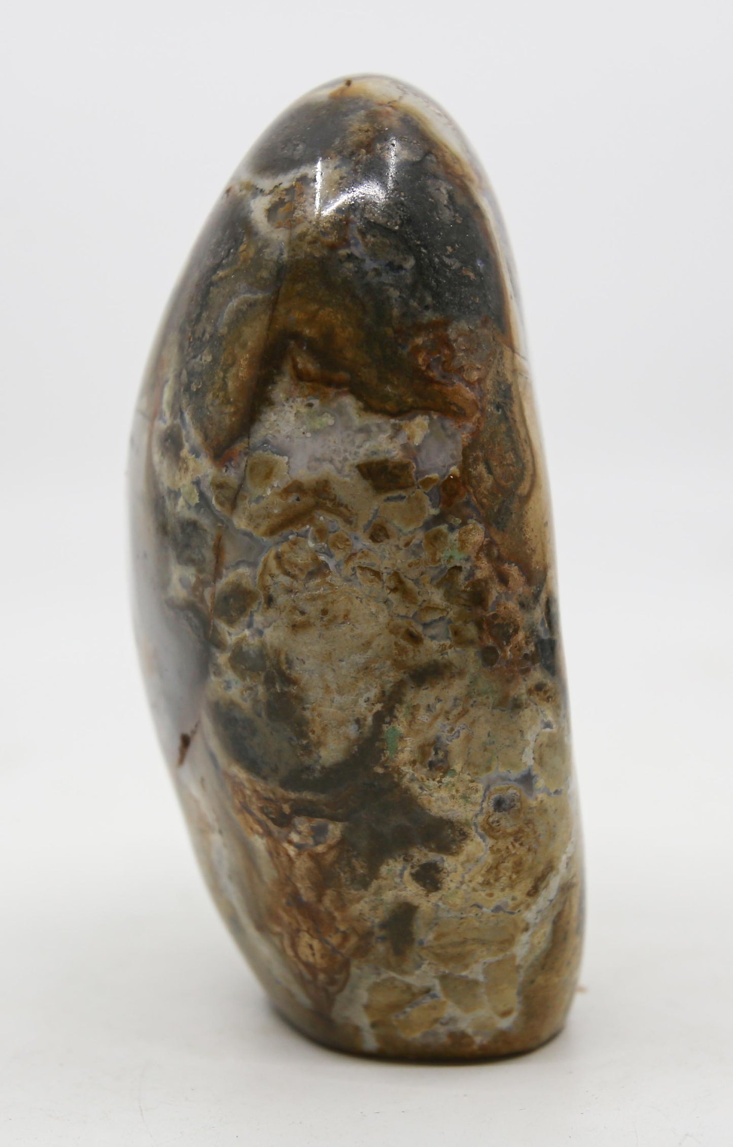 Ocean Jasper Free Form