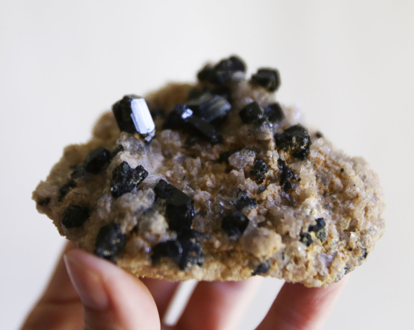 Black Tourmaline and Quartz on Feldspar Matrix