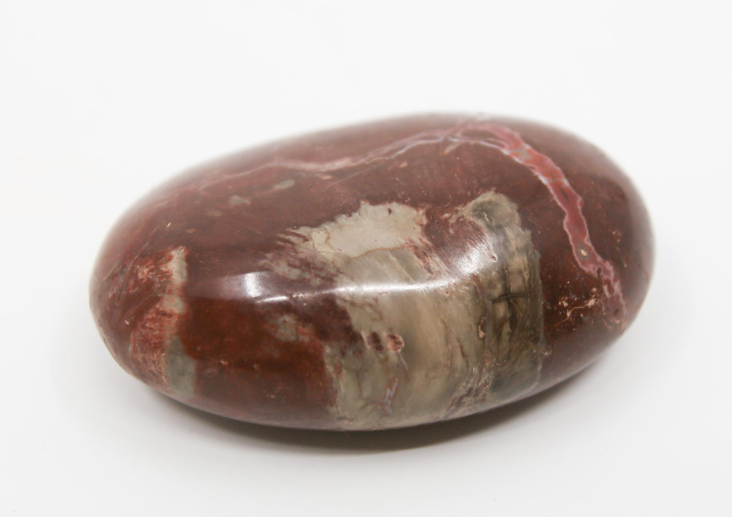 Petrified Wood Stone