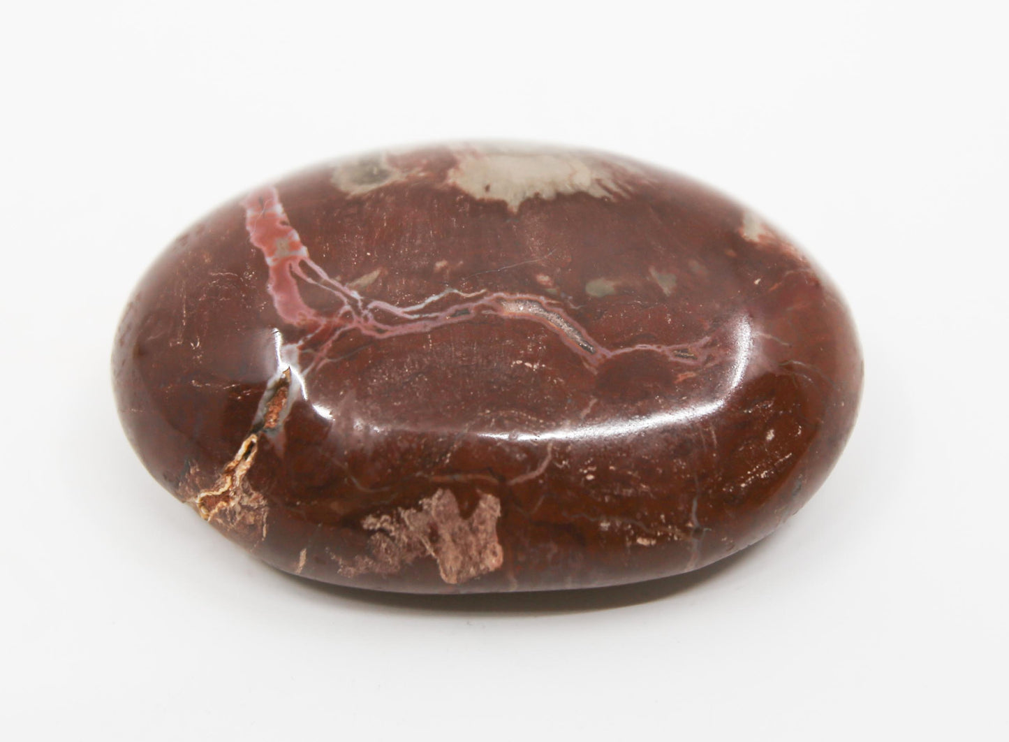 Petrified Wood Stone