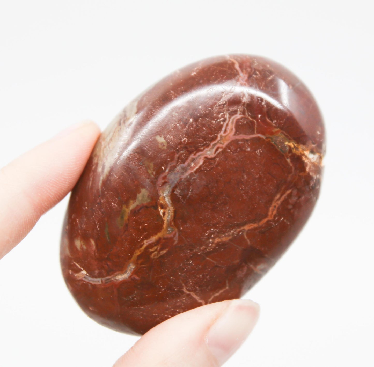 Petrified Wood Stone
