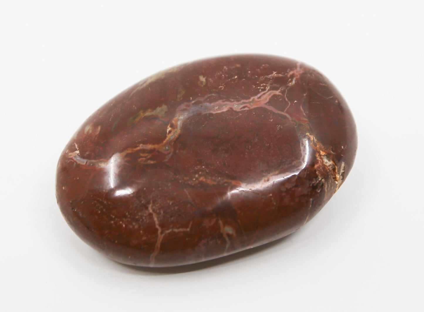 Petrified Wood Stone