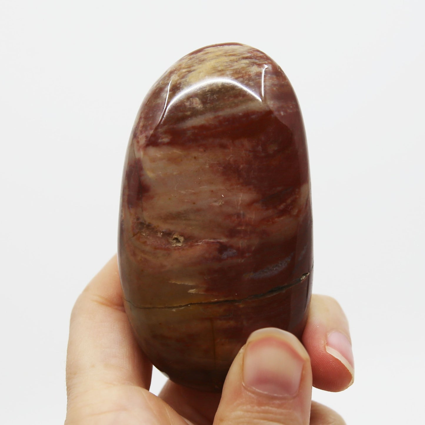 Petrified Wood Palm Stone