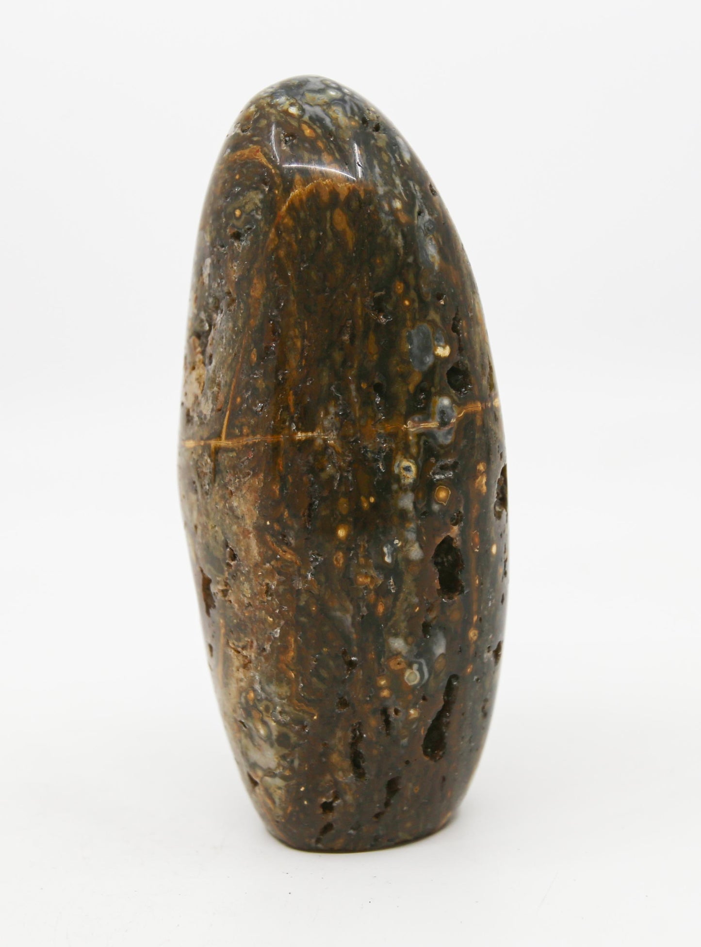 Orbicular Jasper Free Form