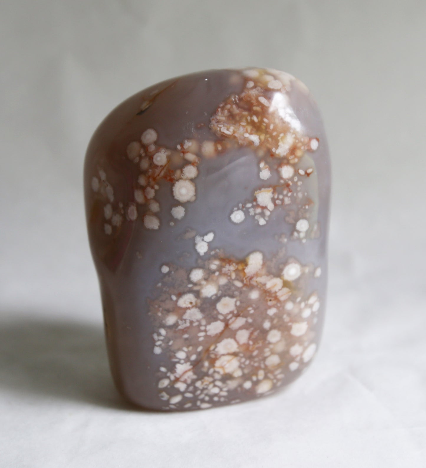 Coral Agate Free Form