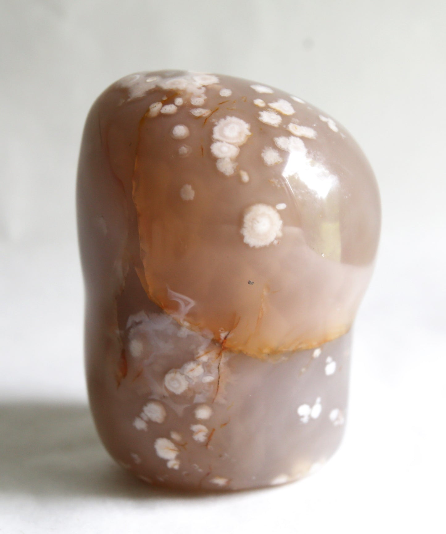 Coral Agate Free Form