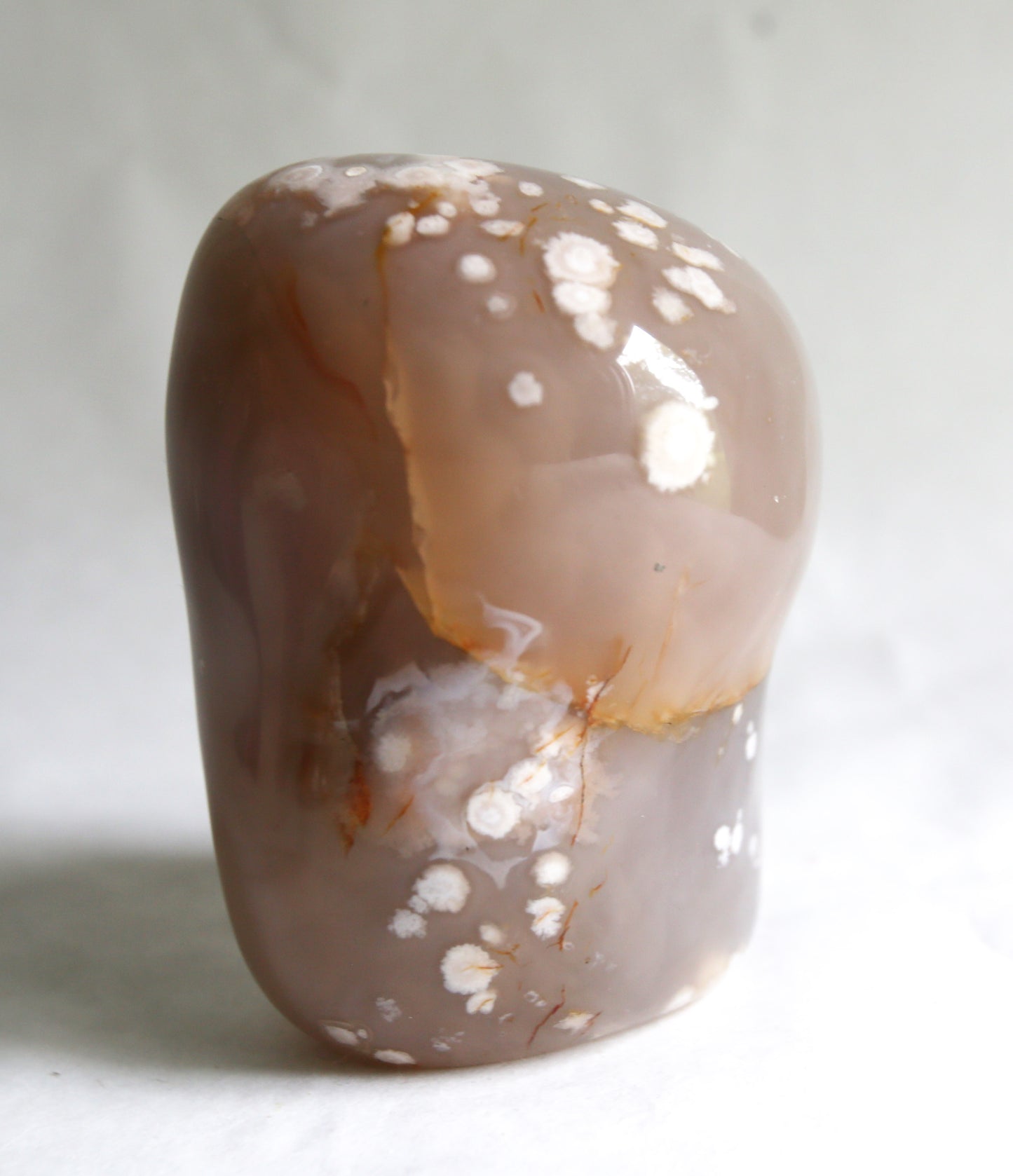 Coral Agate Free Form