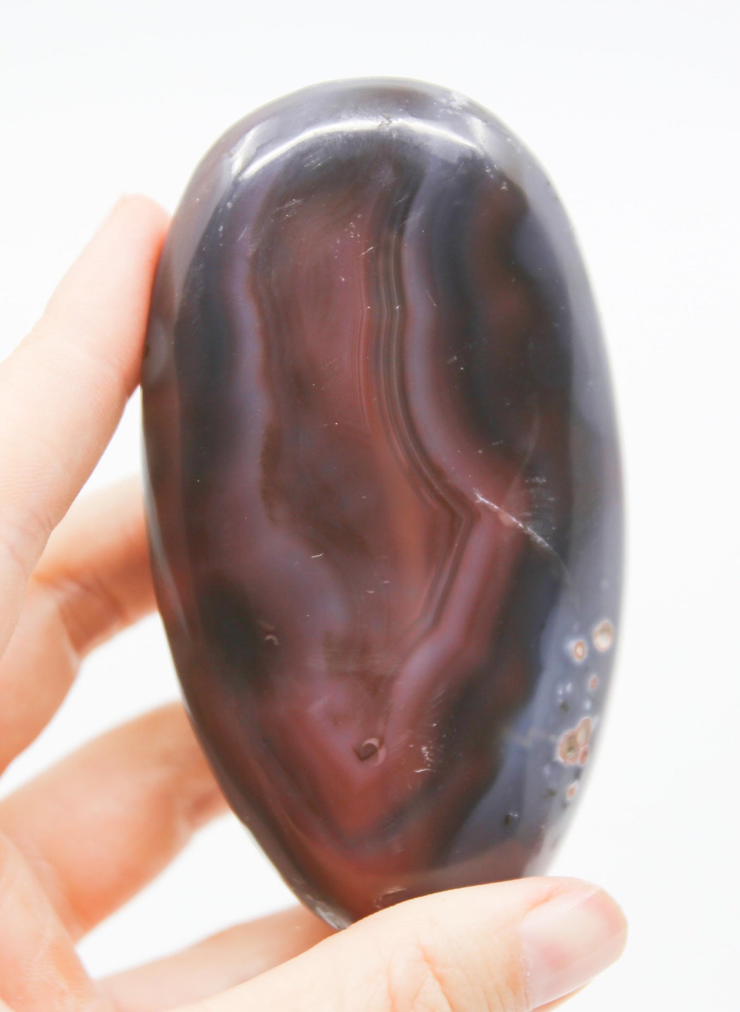 River Agate Palm Stone