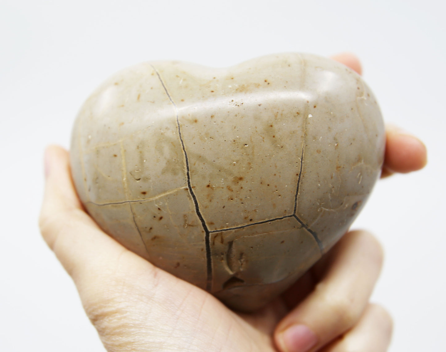 Septarian Heart Stone