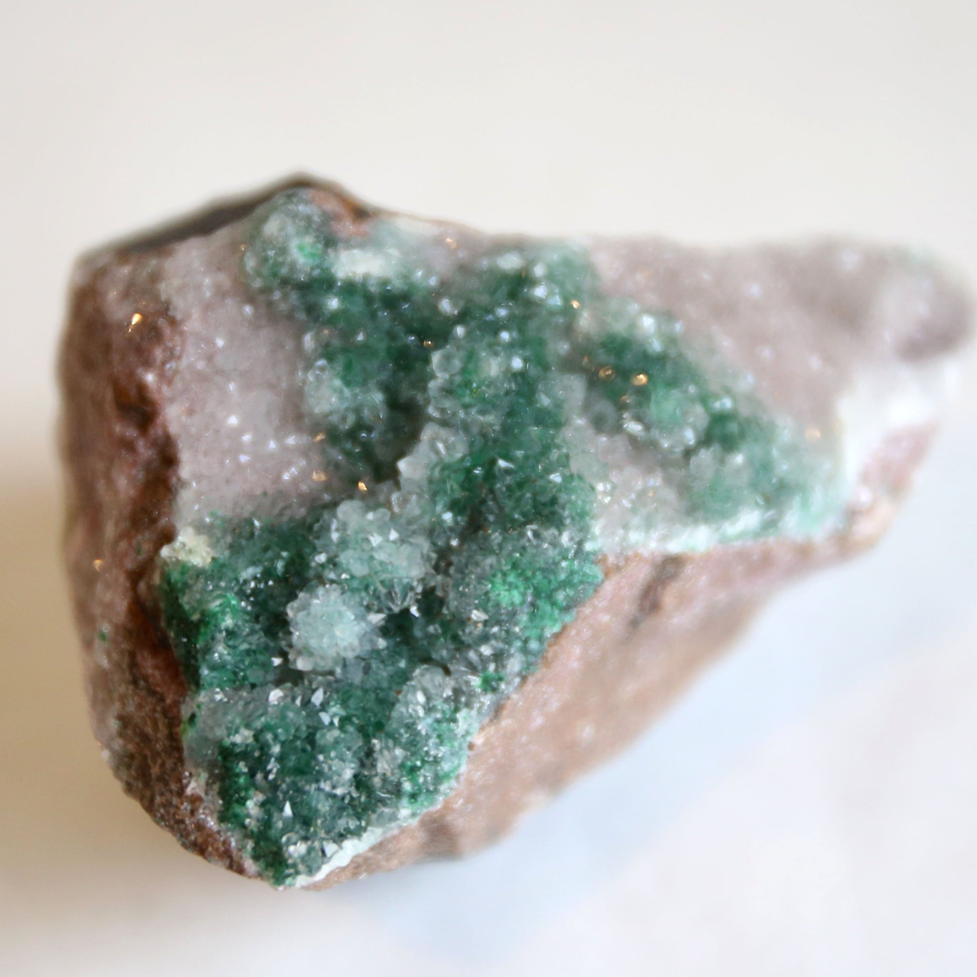 the little magic herbal shop - the little magic herbal shop