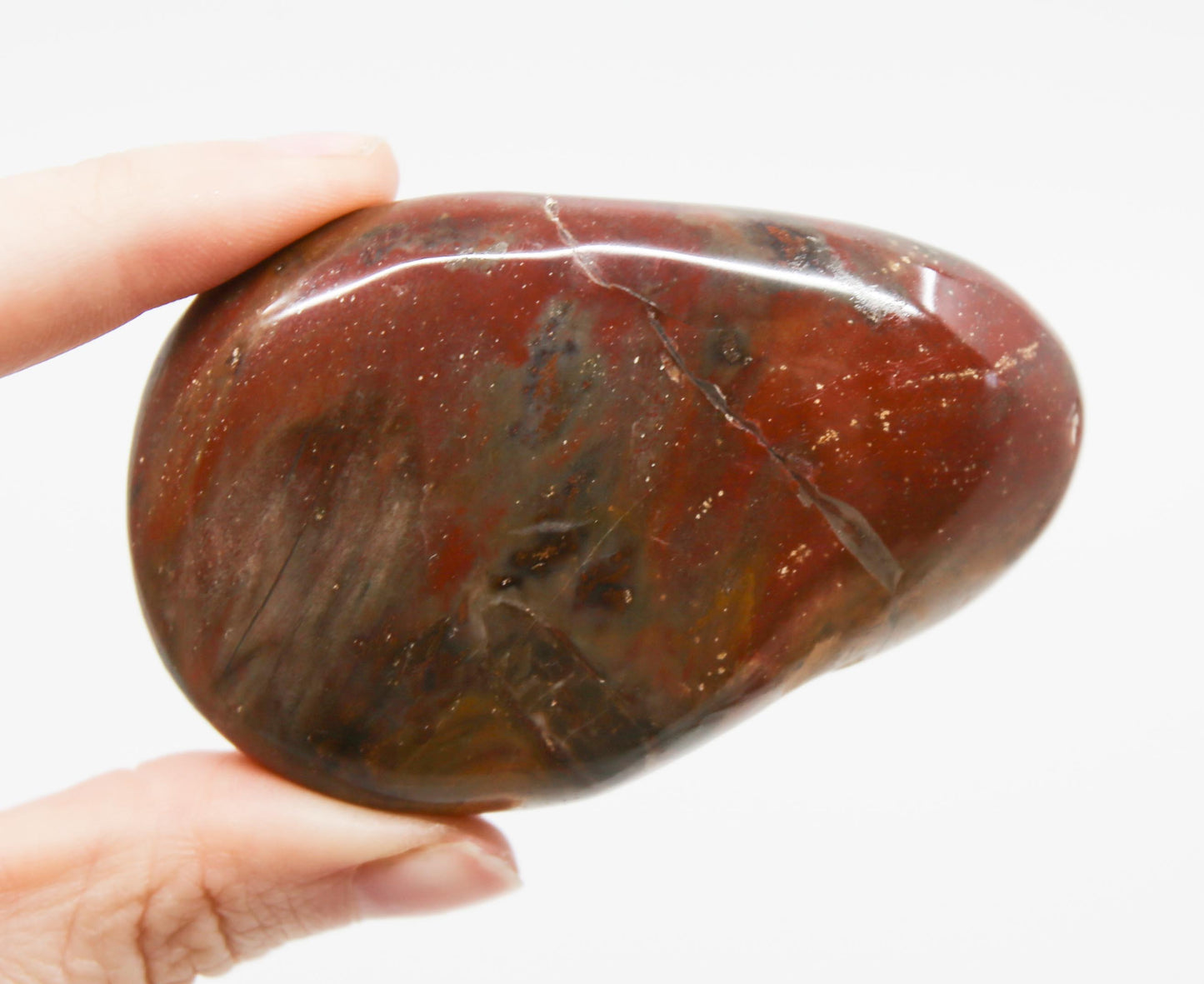 Petrified Wood Gallet