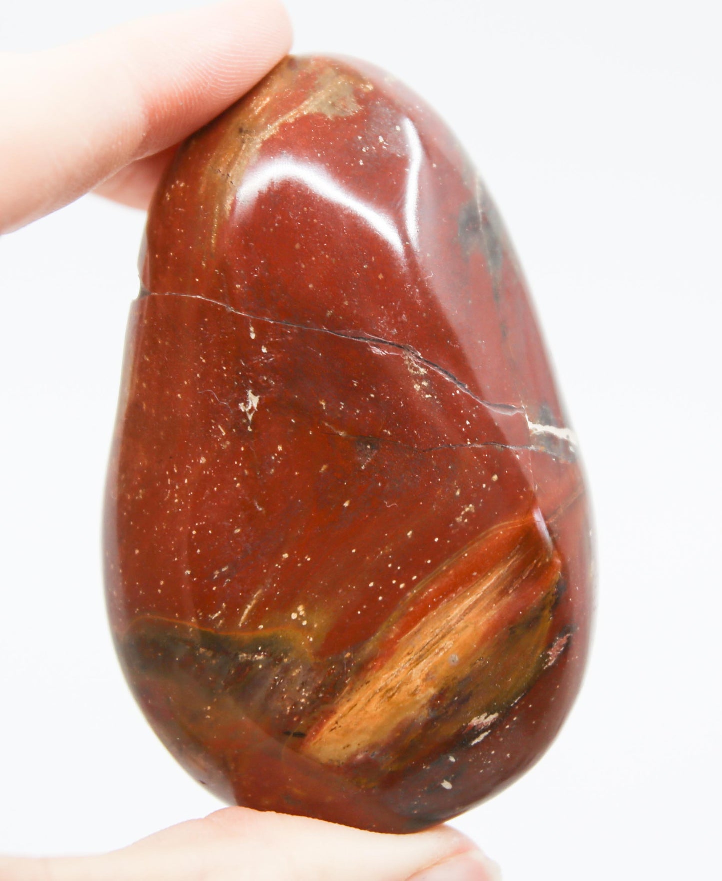 Petrified Wood Gallet