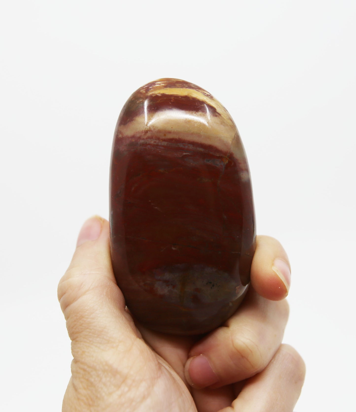 Petrified Wood Palm Stone