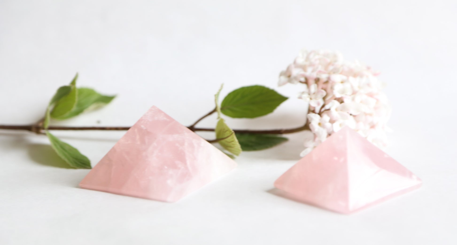 the little magic herbal shop - the little magic herbal shop