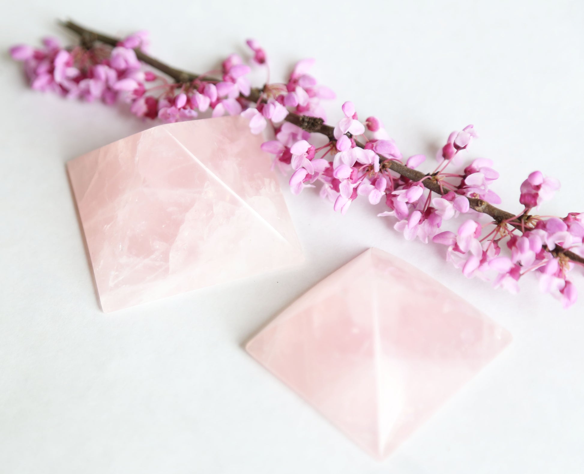 the little magic herbal shop - the little magic herbal shop