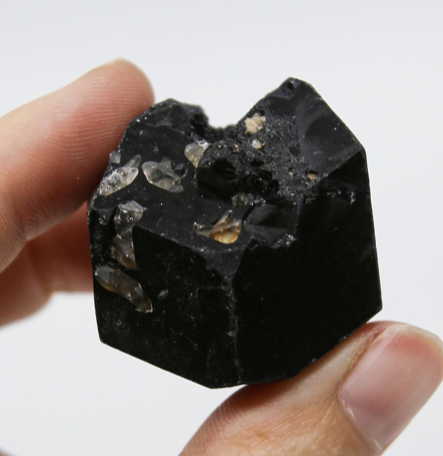 Natural Black Tourmaline Crystals, Large Palm Schorls