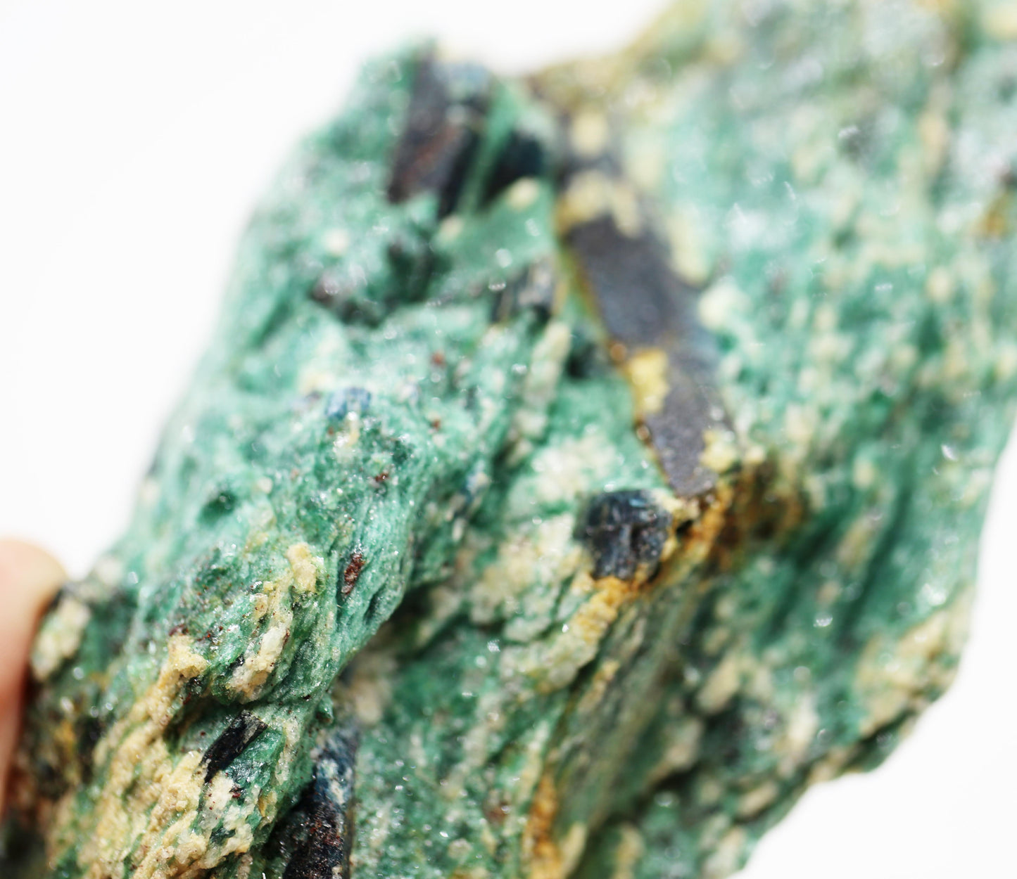 Natural Green Kyanite in Fuchsite Matrix