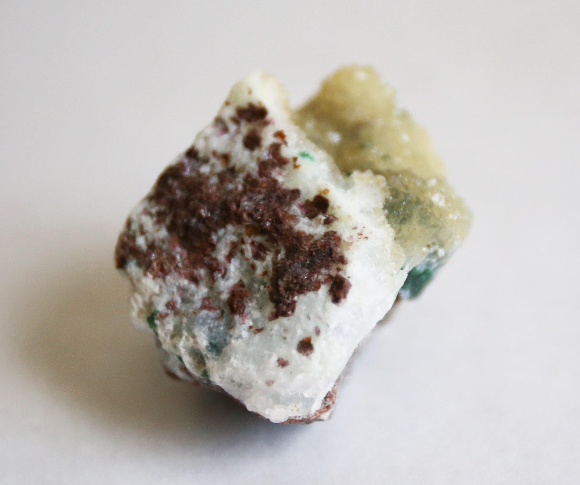 the little magic herbal shop - the little magic herbal shop