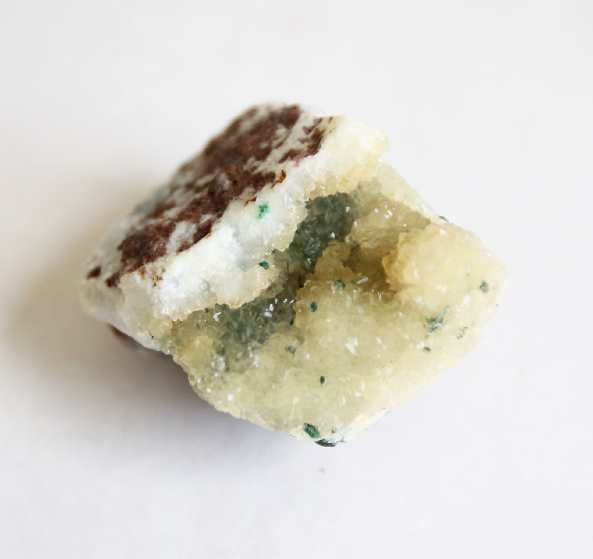 the little magic herbal shop - the little magic herbal shop