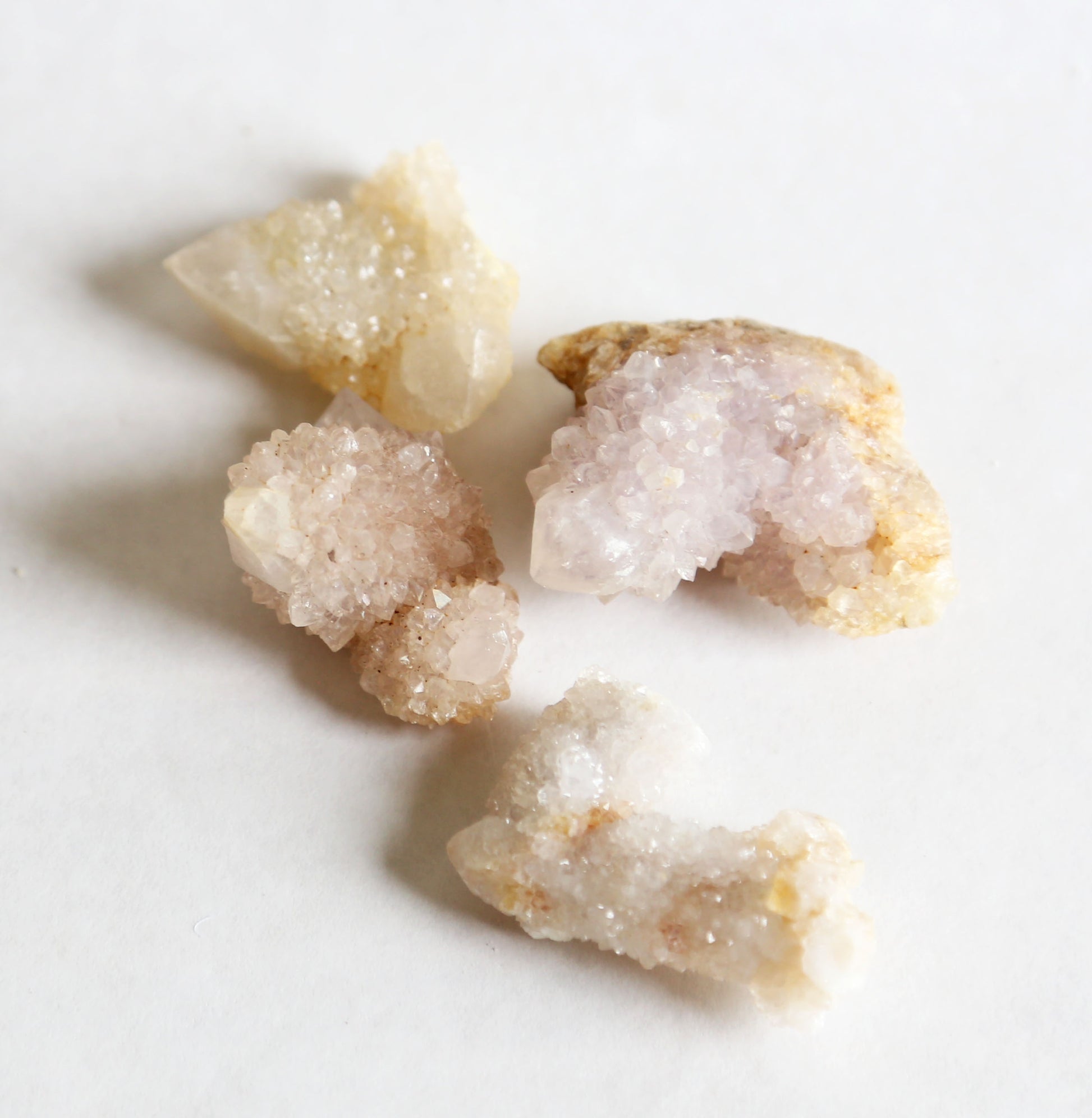 the little magic herbal shop - the little magic herbal shop