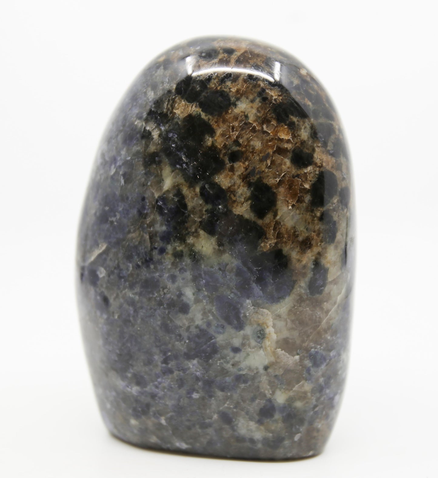 Iolite Water Sapphire Freeform
